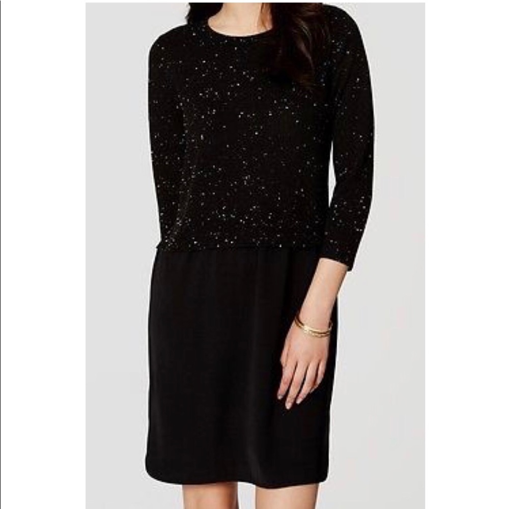 NWT LOFT dress